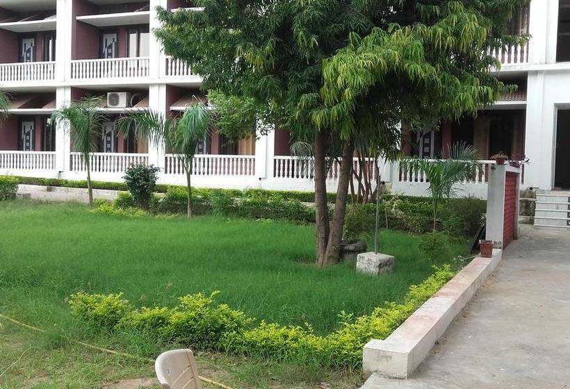 Mystical Yoga Centre And Hostel 4