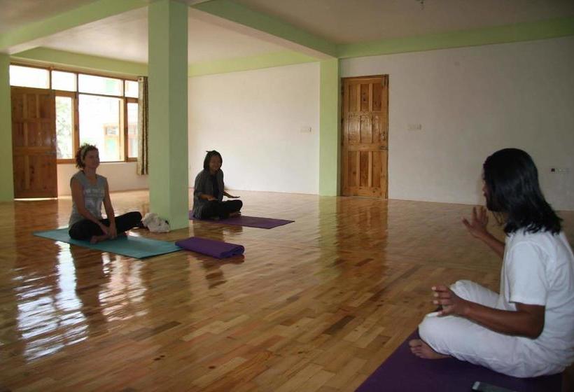 Mystical Yoga Centre And Hostel 5