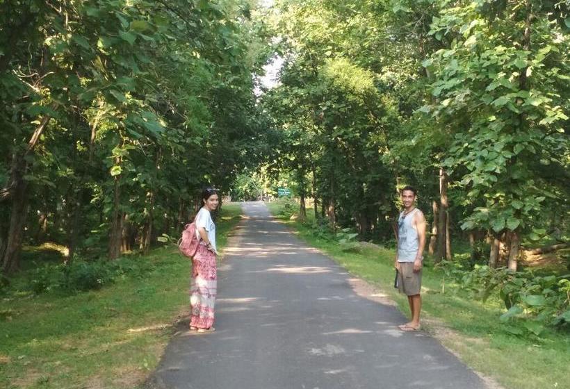 Mystical Yoga Centre And Hostel 8