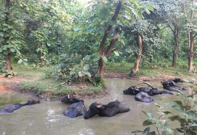 Mystical Yoga Centre And Hostel 9