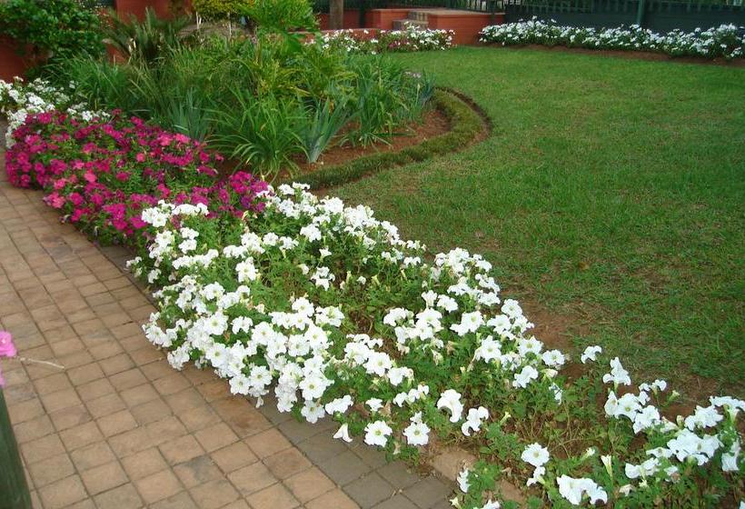 Taunton House B&b 11