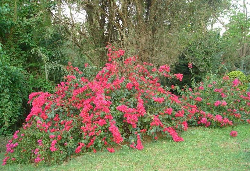 Taunton House B&b 17