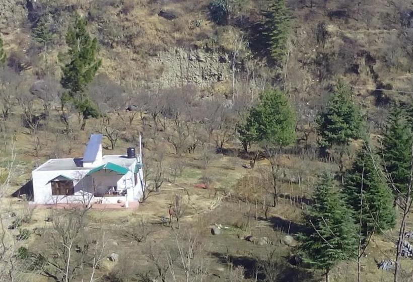 Hotel Silver Streak Cottage 15