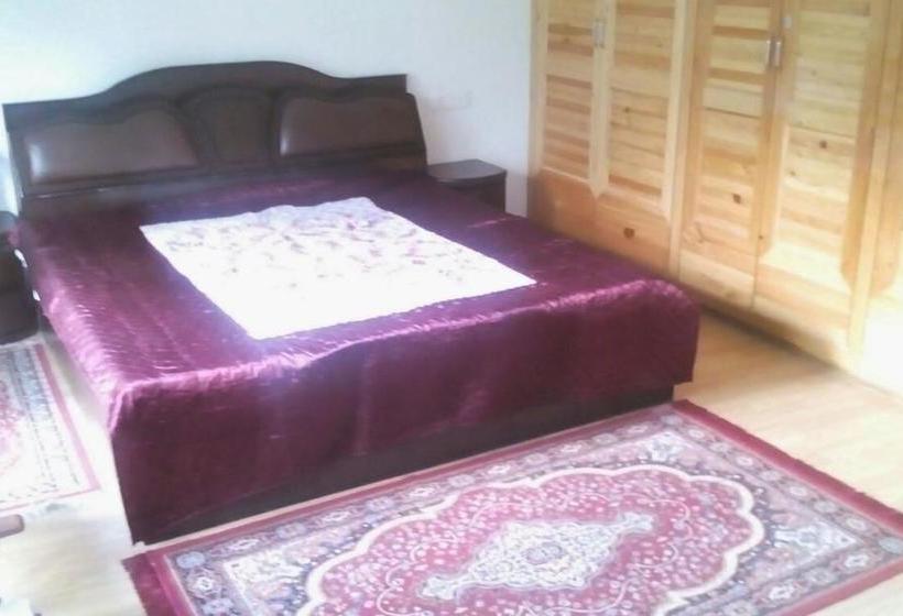 Hotel Silver Streak Cottage 16