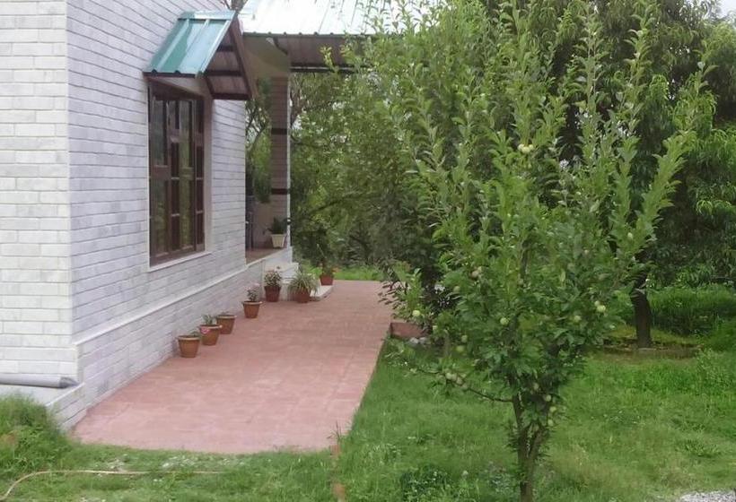 Hotel Silver Streak Cottage 2