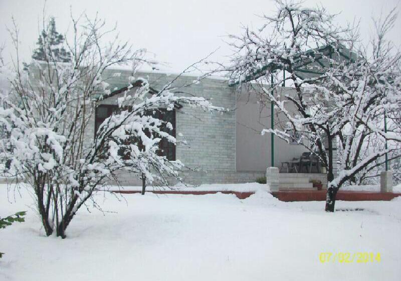 Hotel Silver Streak Cottage 20