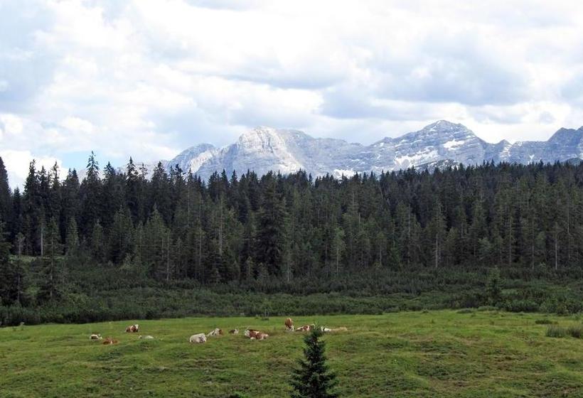 Hotel Winklmoos Sonnenalm 12