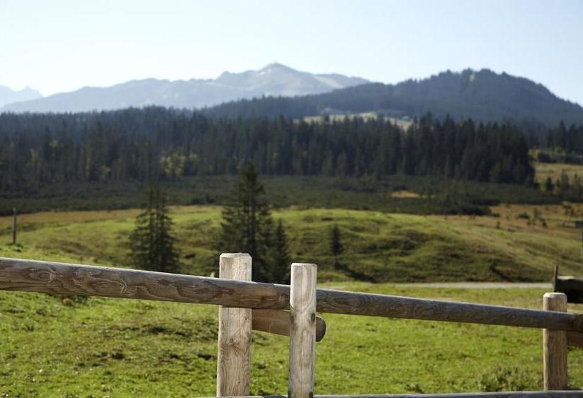 Hotel Winklmoos Sonnenalm 14