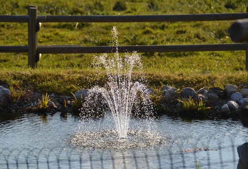 Hotel Winklmoos Sonnenalm 15