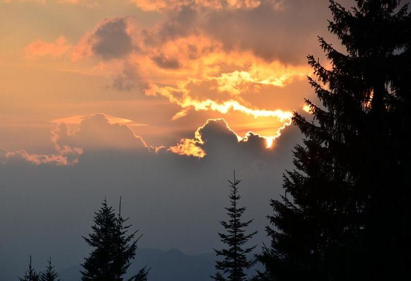 Hotel Winklmoos Sonnenalm 16