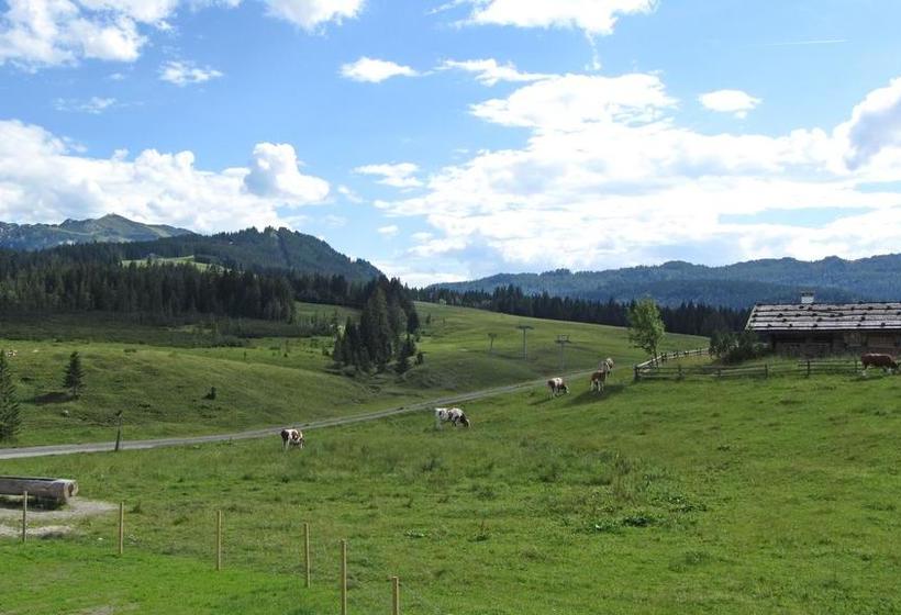 Hotel Winklmoos Sonnenalm 7