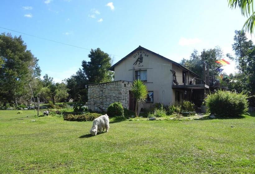 Hostel Dijembe Backpackers Lodge 11
