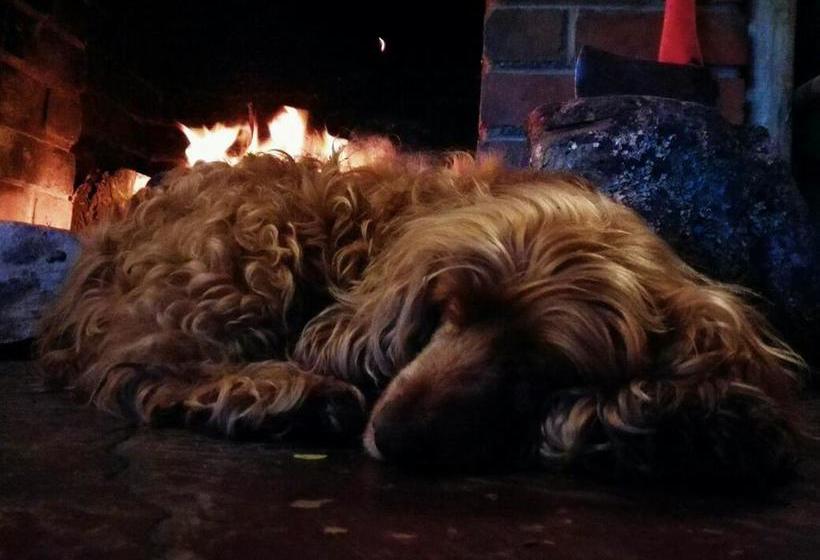 Hostel Dijembe Backpackers Lodge 13