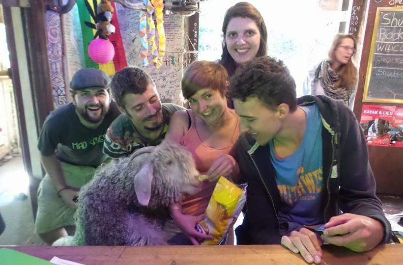 Hostel Dijembe Backpackers Lodge 14