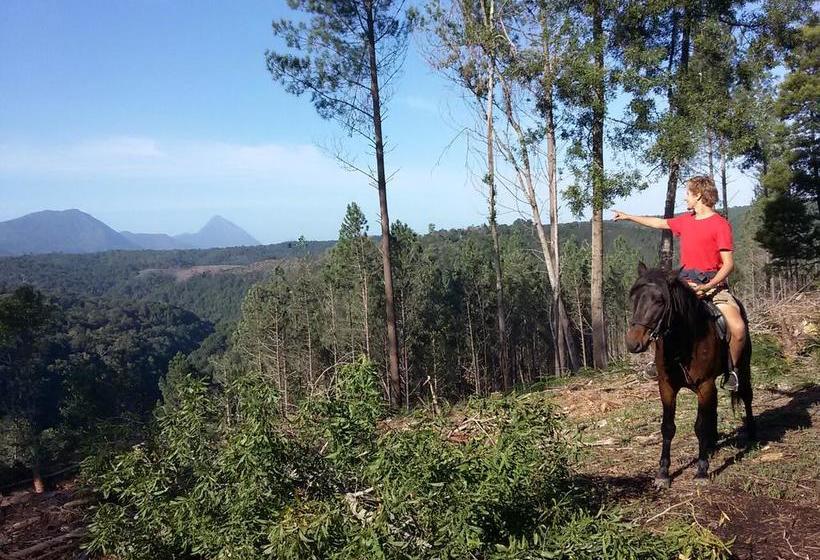 Hostel Dijembe Backpackers Lodge 17