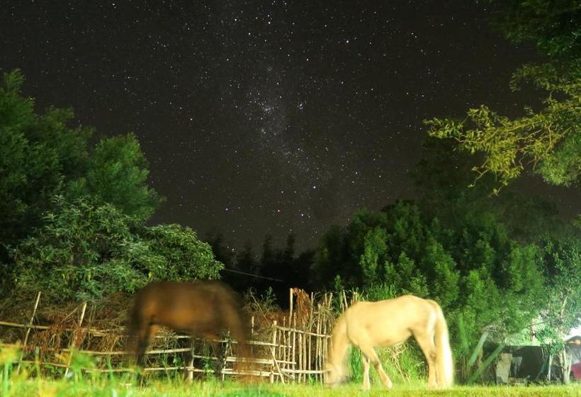 Hostel Dijembe Backpackers Lodge 18