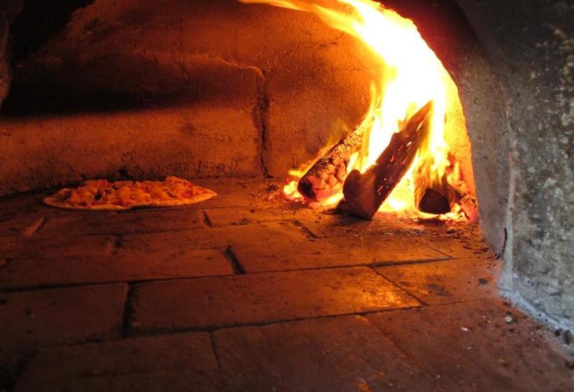 Hostel Dijembe Backpackers Lodge 19