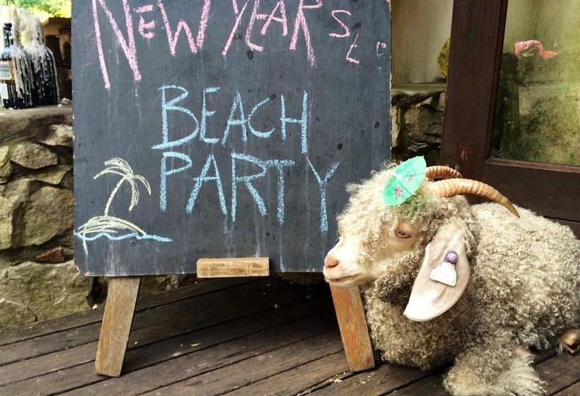 Hostel Dijembe Backpackers Lodge 20