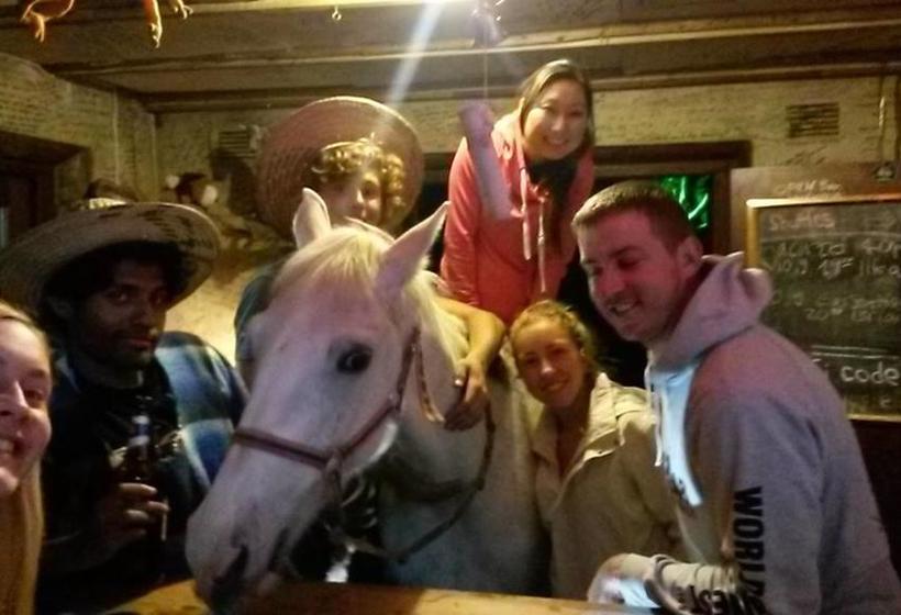 Hostel Dijembe Backpackers Lodge 3