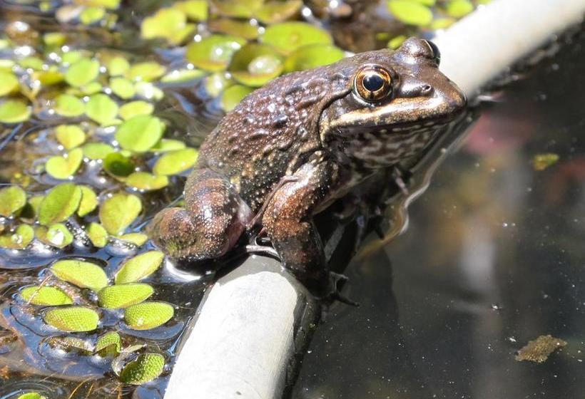 Hostel Dijembe Backpackers Lodge 7