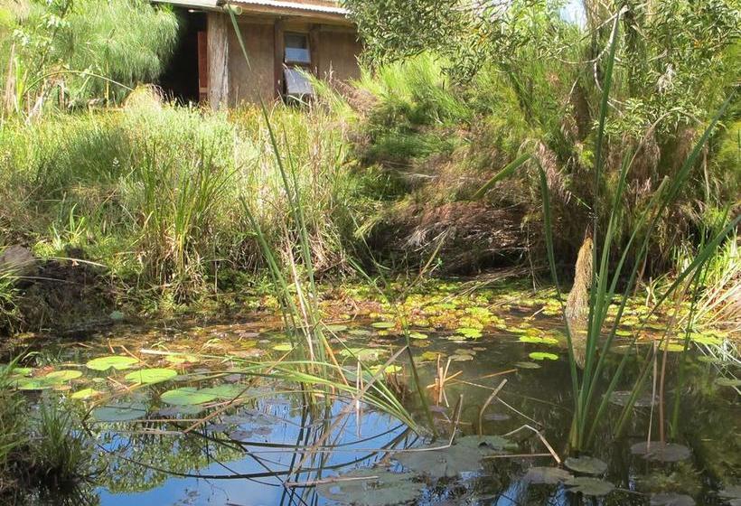 Hostel Dijembe Backpackers Lodge 8