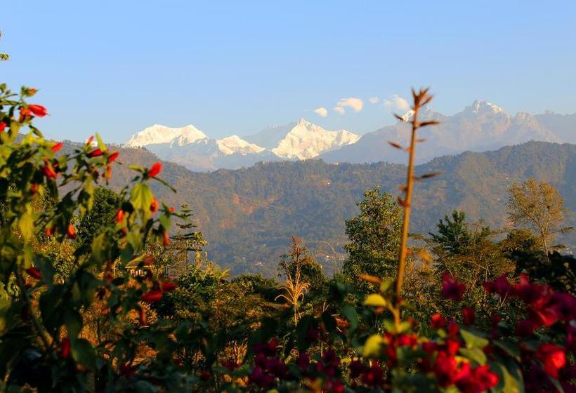 Hotel The Red Mud Chalet 5