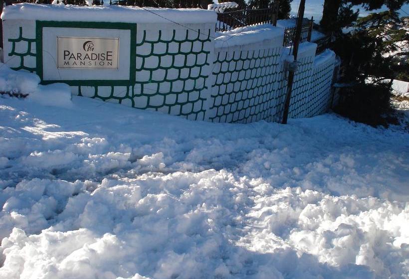 Hotel Paradise Mansion 6