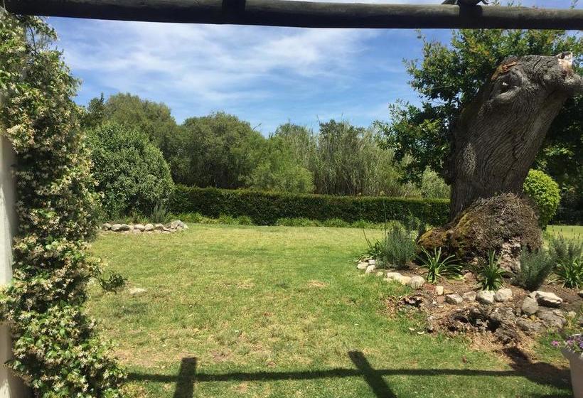 Bed and Breakfast Mountain Shadows Estate 1