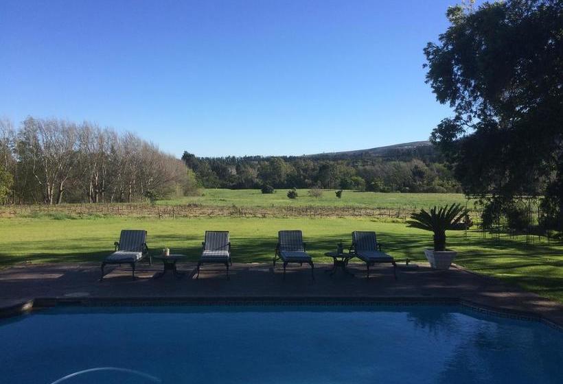 Bed and Breakfast Mountain Shadows Estate 14