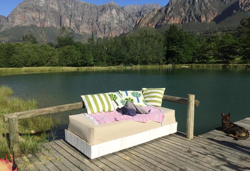 Bed and Breakfast Mountain Shadows Estate 17