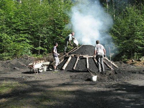 Hôtel Waldmünchner Stub N 15