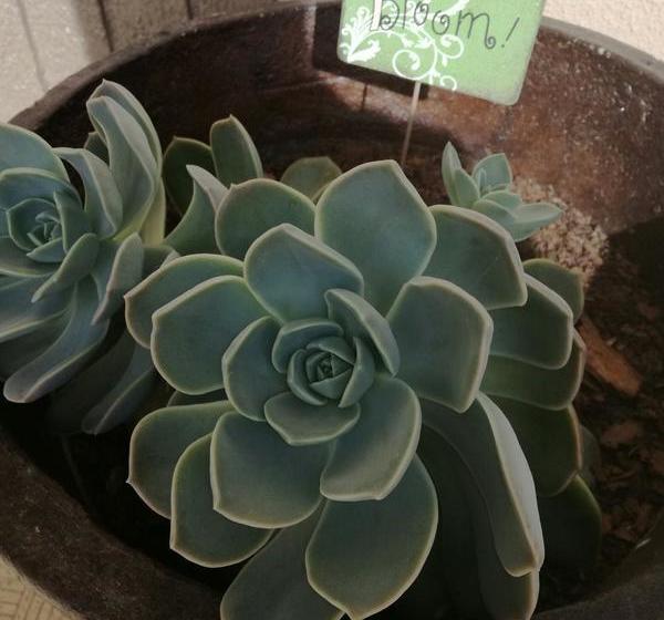 Hotel Avenue Guesthouse 2