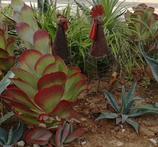 Hotel Avenue Guesthouse 4