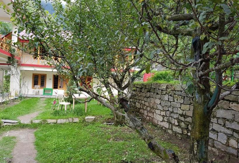 Hotel Domia Mount View