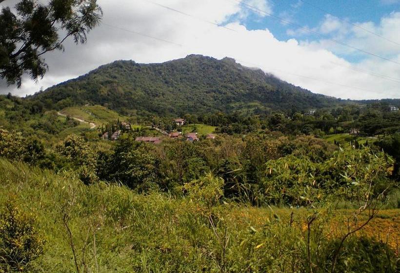 Resort Red Z Cool Mountain 13