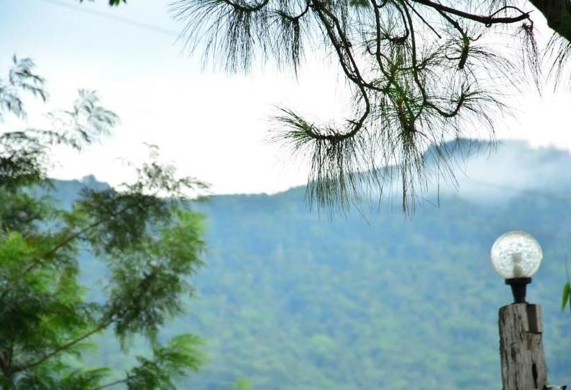 Resort Red Z Cool Mountain 19