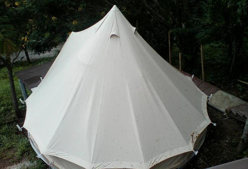 Resort Red Z Cool Mountain 8