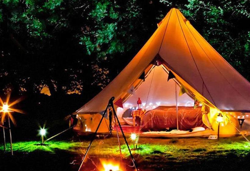 Resort Red Z Cool Mountain 9