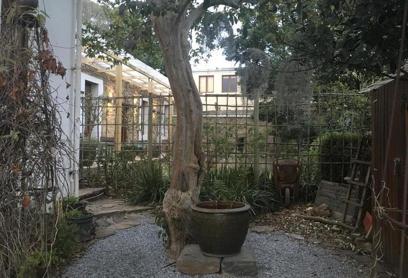 Hotel 7 Guesthouse 4