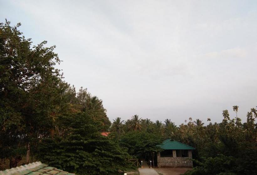 Resort Spring Valley 3