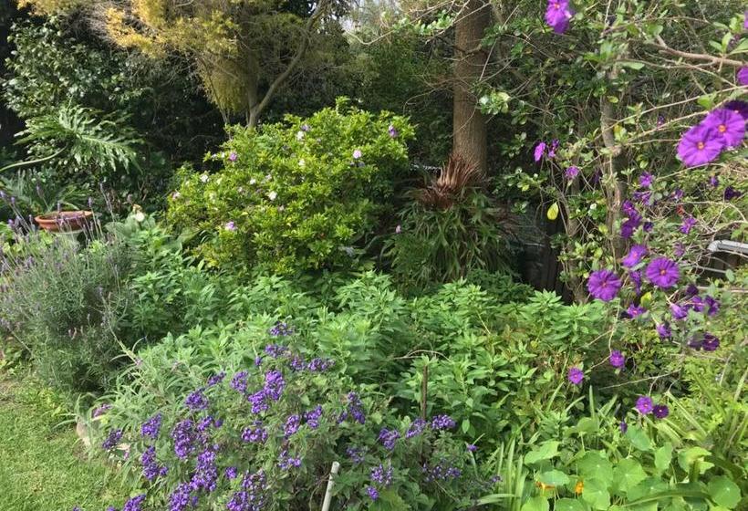 Hotel Valley Heights Guest House And B & B 1