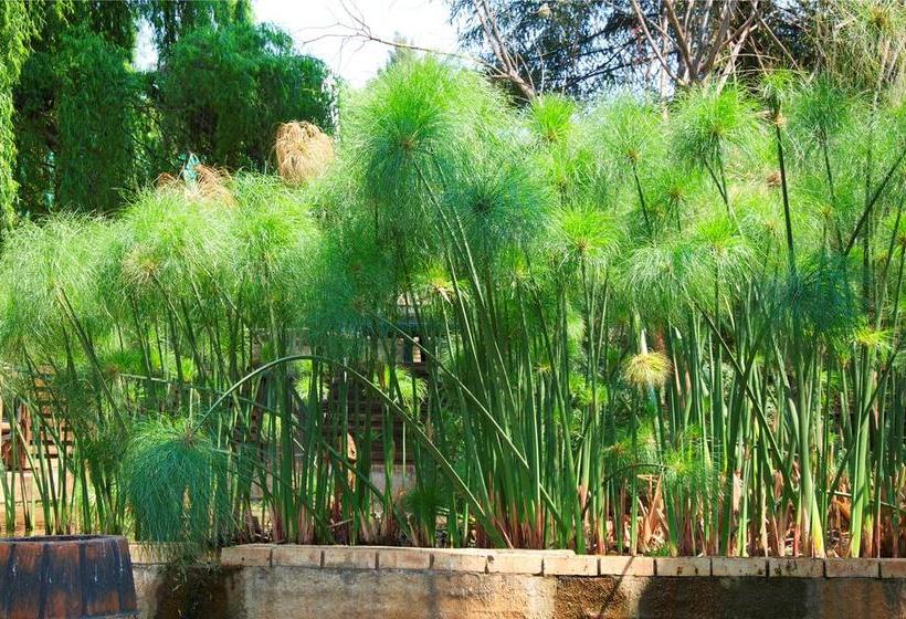 Hotel Goodnight Guest Lodge 13