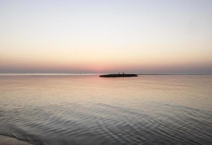 Albergue Slowlife Street