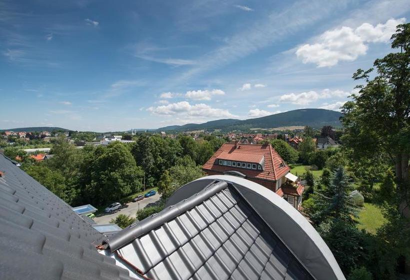 Hotel Liono Boutique 14