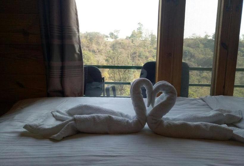 The Salwoods Resort 11