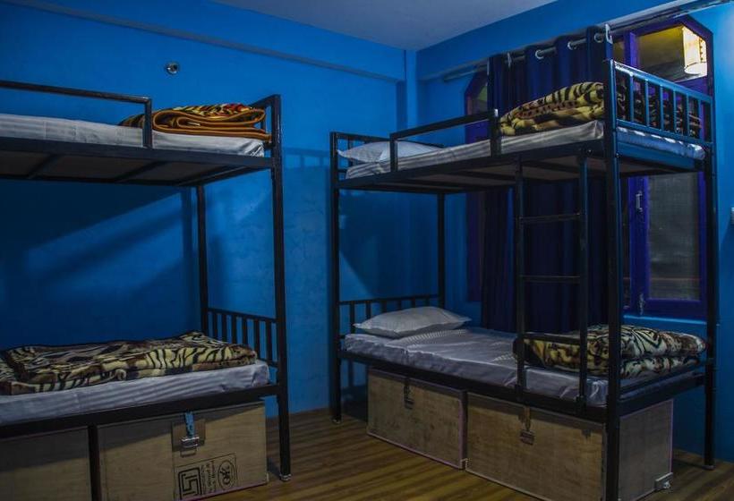 Nomad S Den A Backpacker Hostel Manali Himachal Pradesh