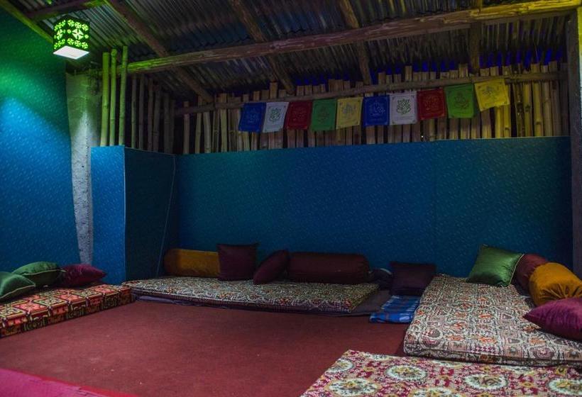 Nomad S Den A Backpacker Hostel 4