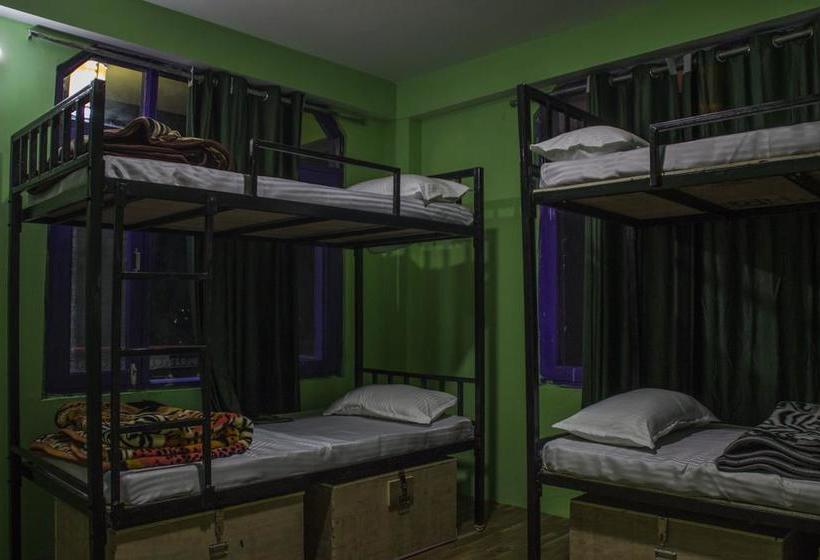 Nomad S Den A Backpacker Hostel 8