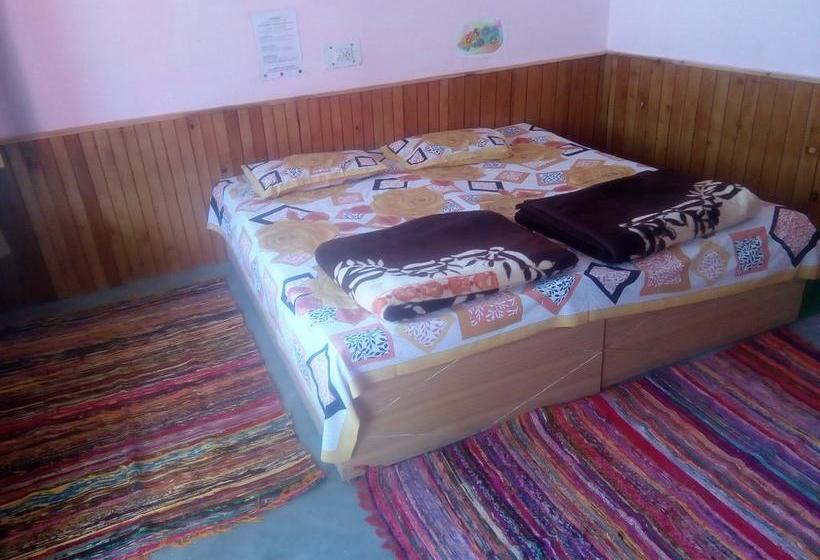 Hotel Joshi S Homestay