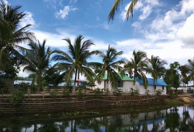 Daaven S Island Resort 1